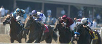 During winning Swaps Stakes