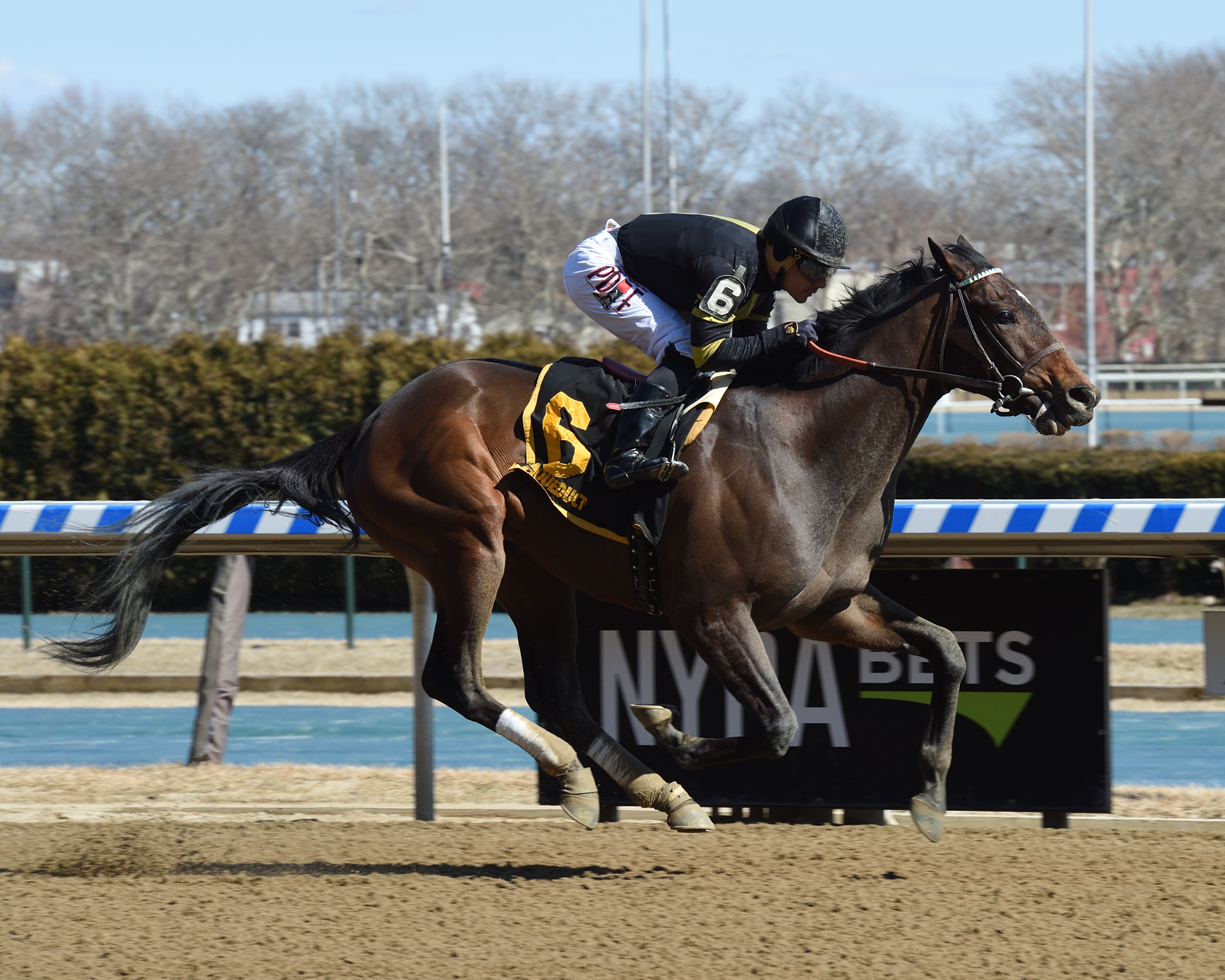 Durkin's Call wins 2019 Gander