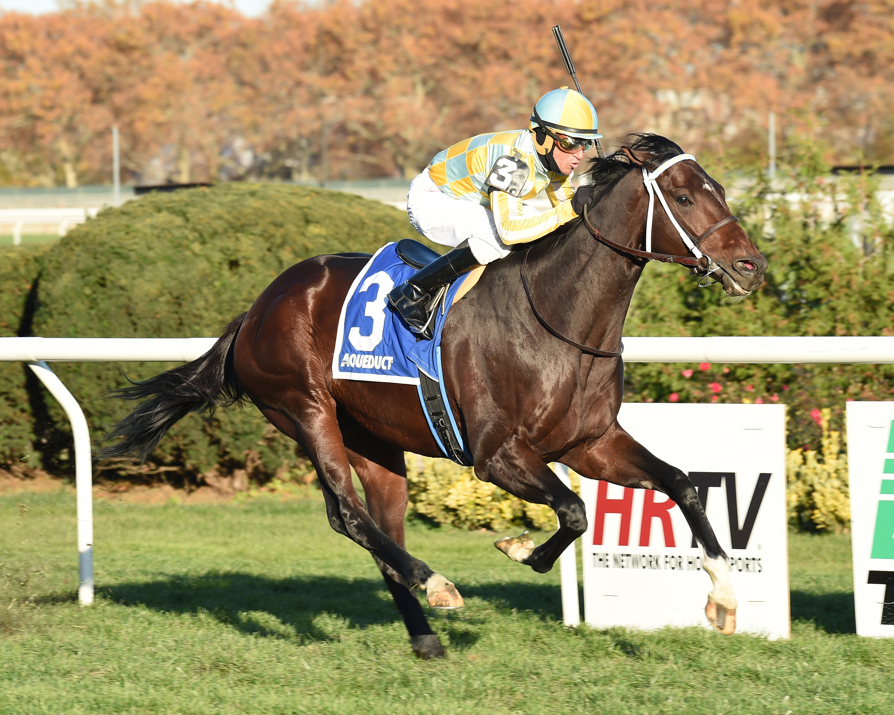 Dynamic Sky wins 2014 Red Smith
