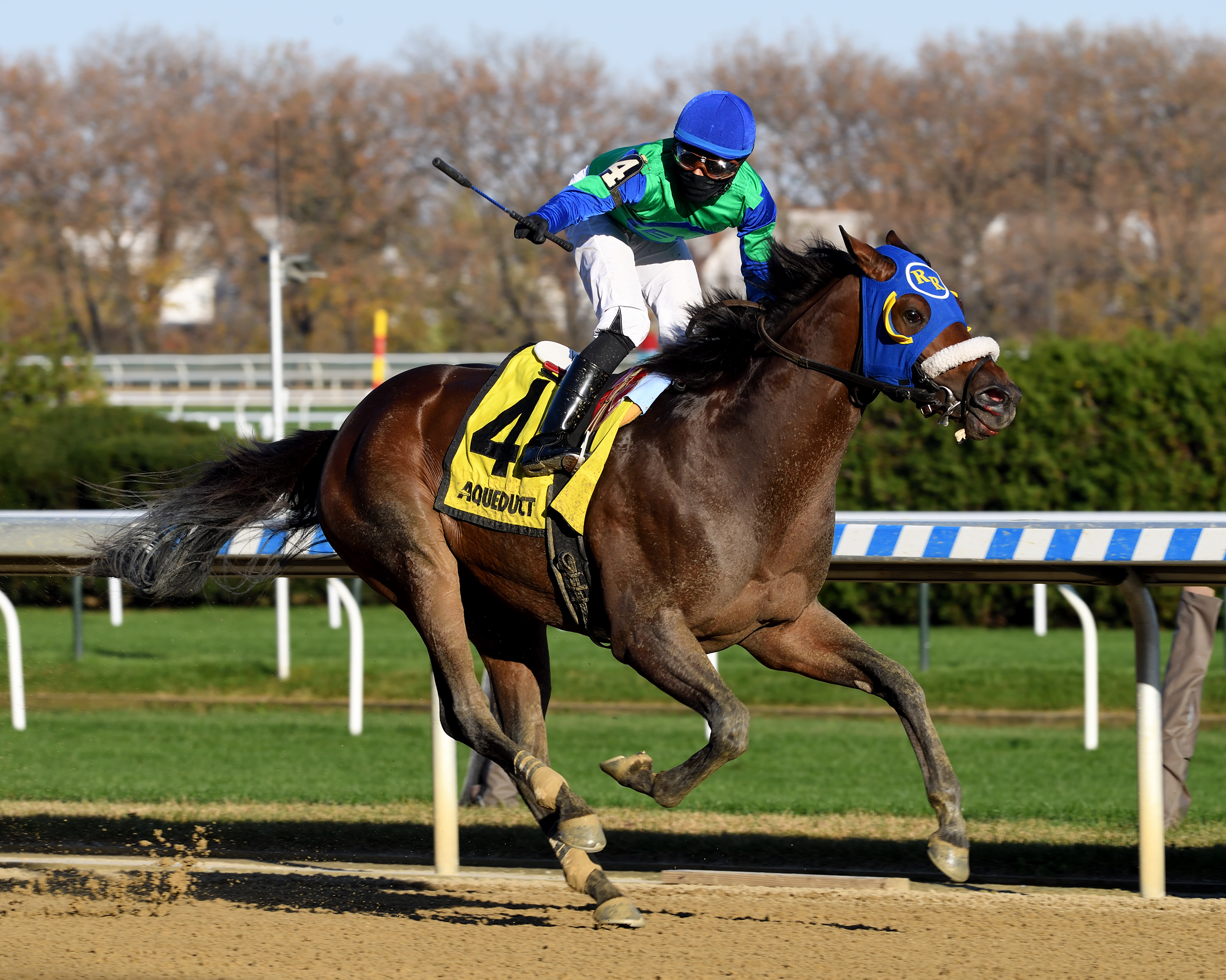 Eagle Orb wins Notebook Stakes 11-14-2020