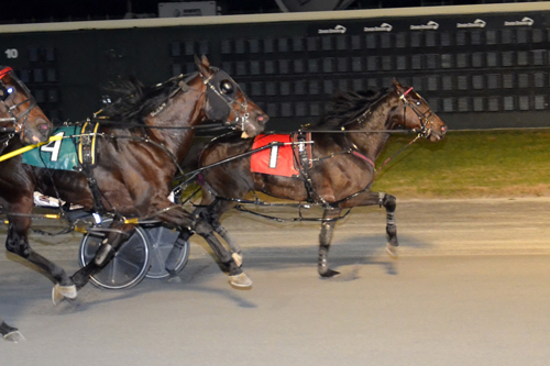 Easy Lover Hanover 11/28/16
