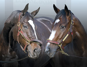 Zenyatta and Rachel
