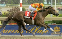 Edenwold