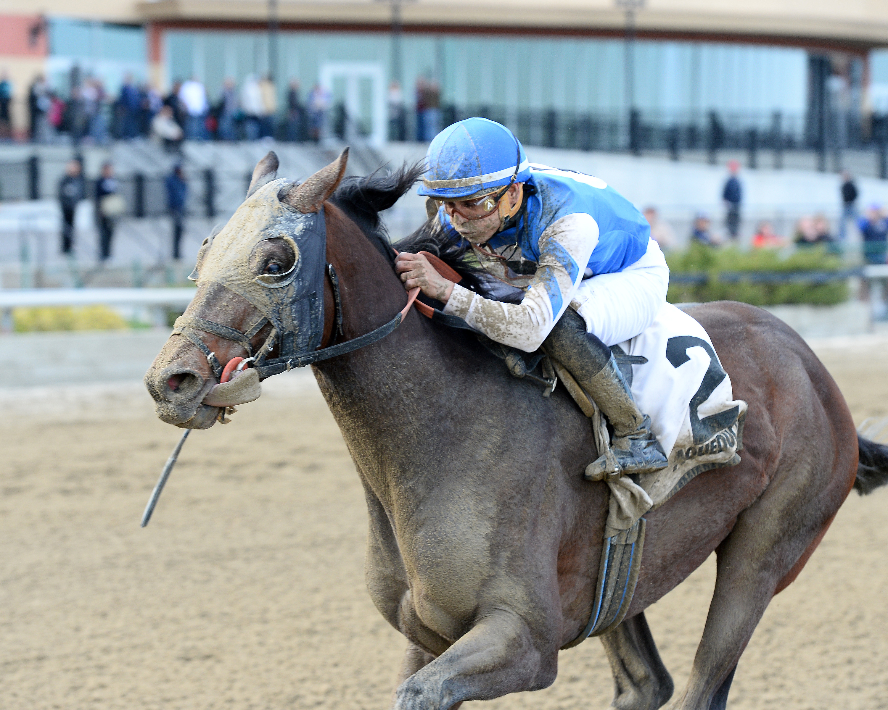 Effinex 4-25-2015