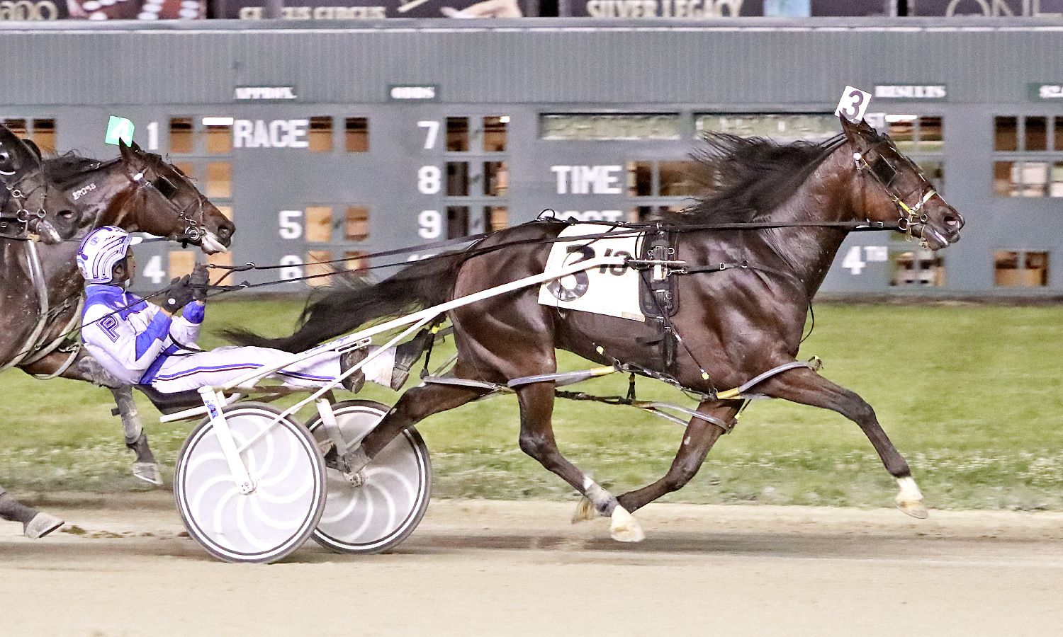 Elver Hanover