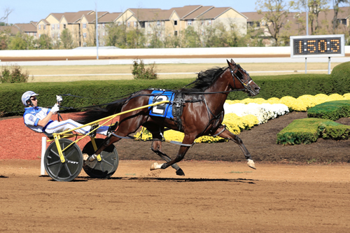 Elver Hanover 10/5/19