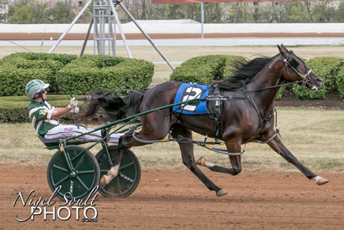 Elver Hanover 9/28/19