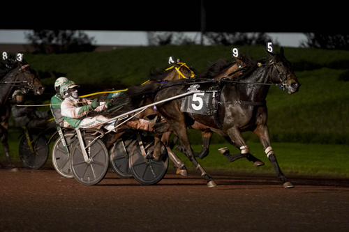 Emoticon Hanover 10/27/18