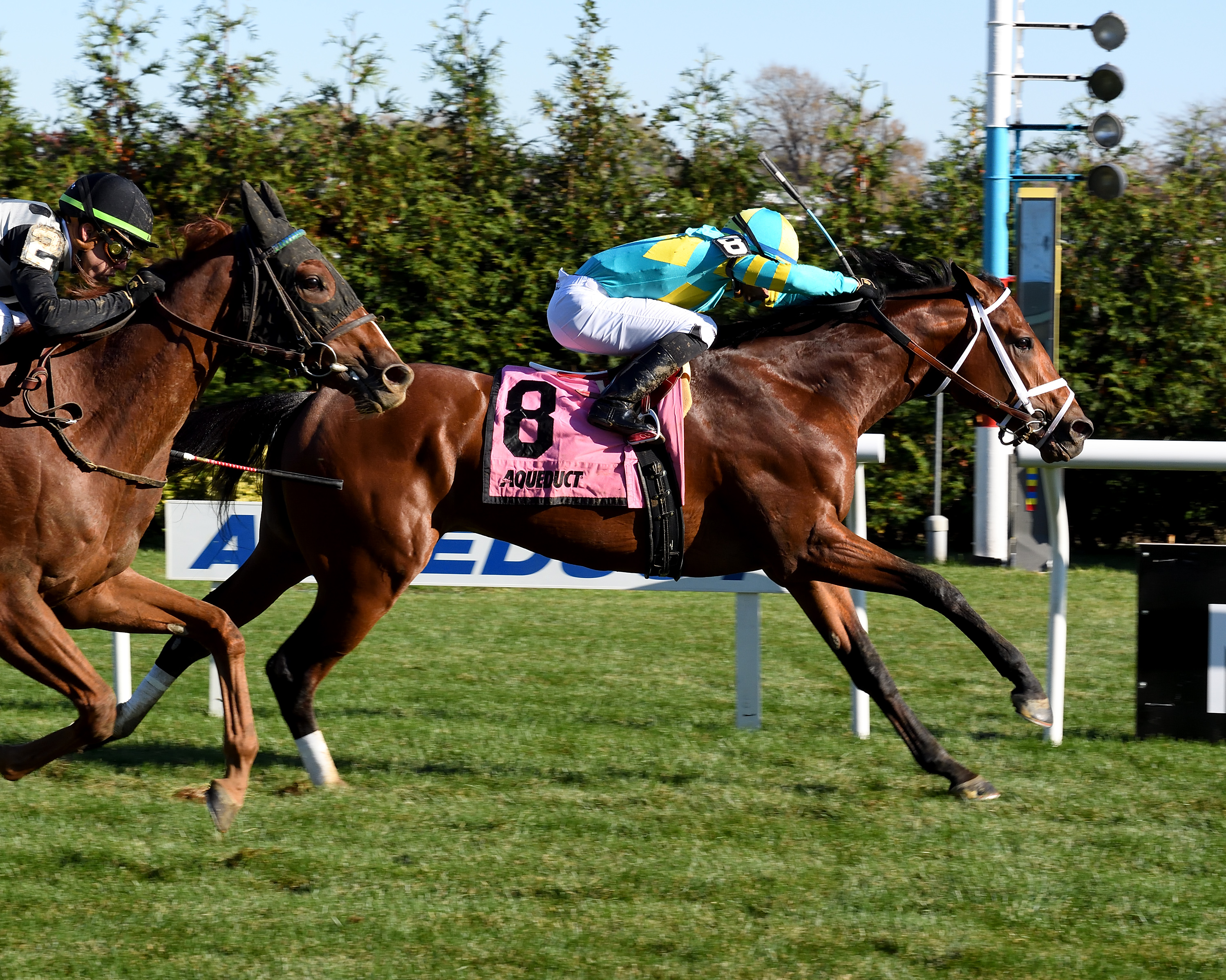 Empire of War wins the 2018 Awad Stakes