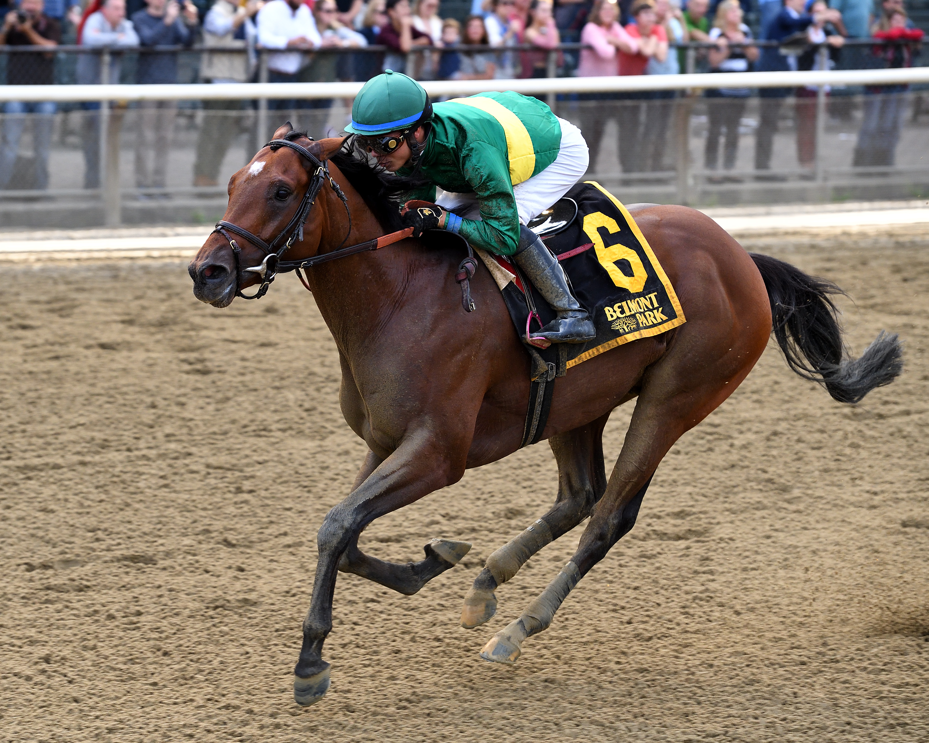 Engage wins the 2017 Futurity at Belmont Park