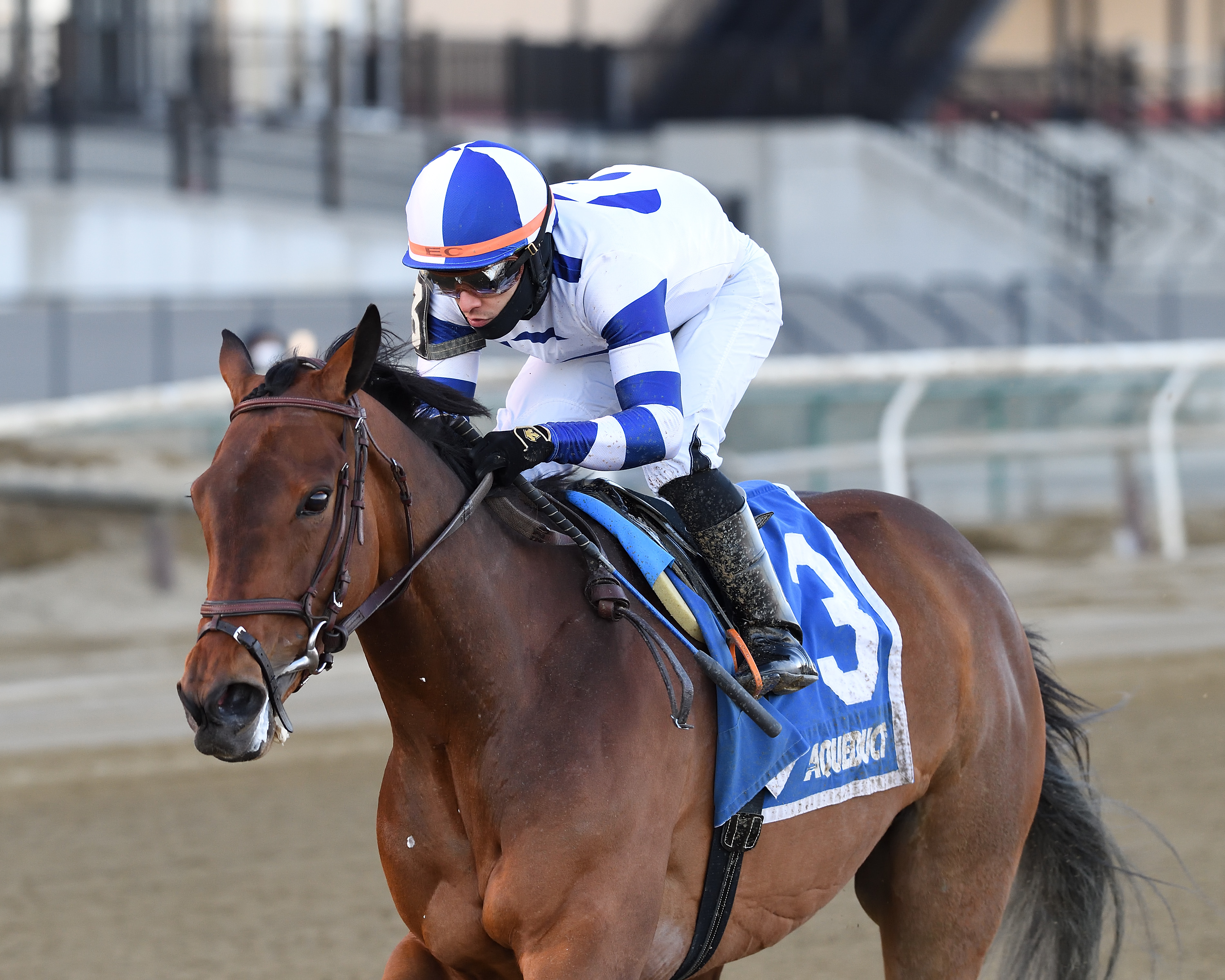 Espresso Shot wins Biogio's Rose 3-7-2021