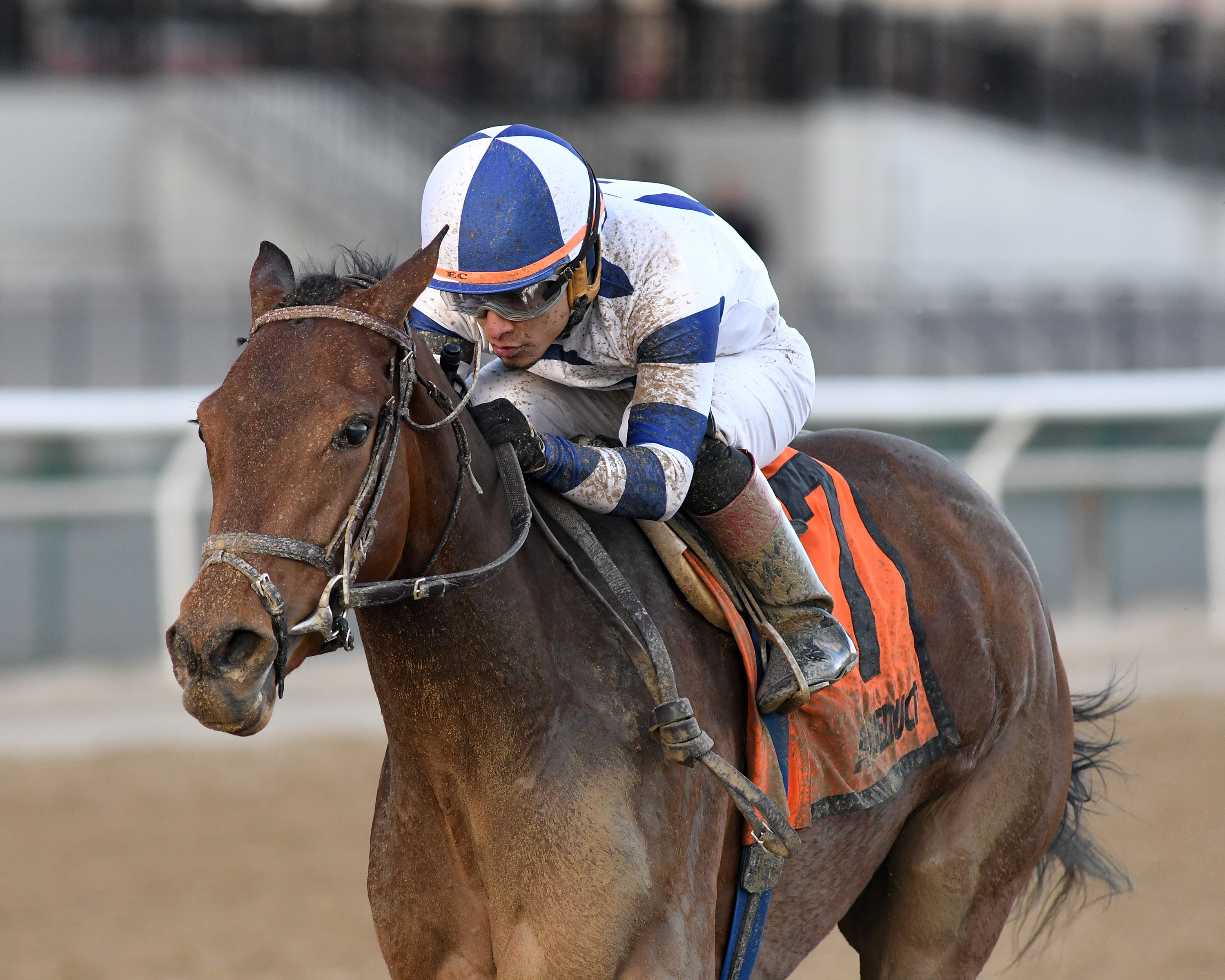 Espresso Shot wins 2018 East View