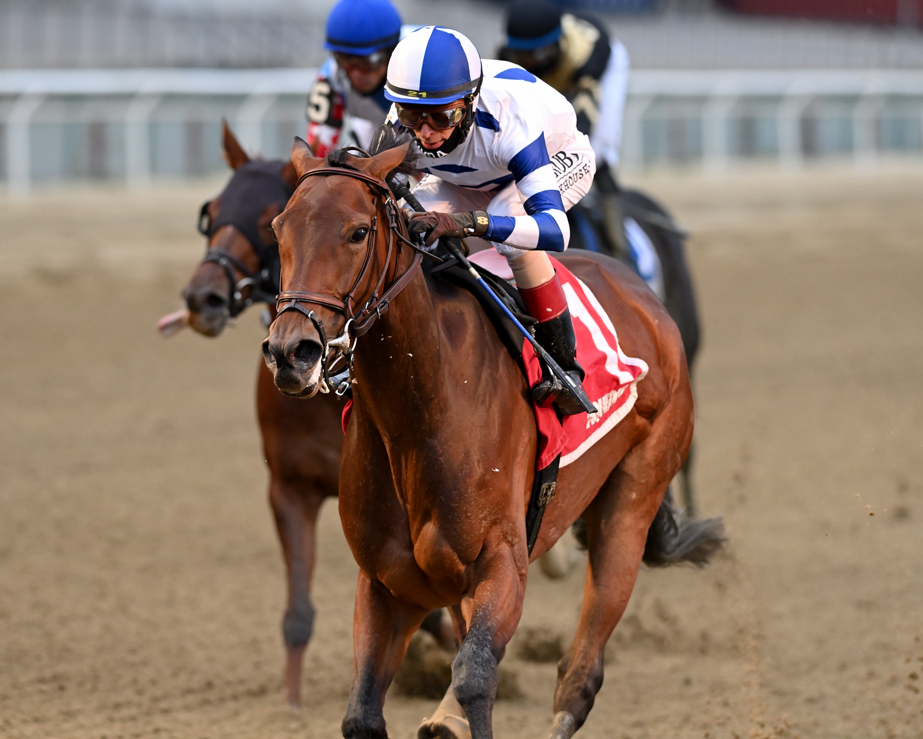 Espresso Shot wins Staten Island 11-22-2020