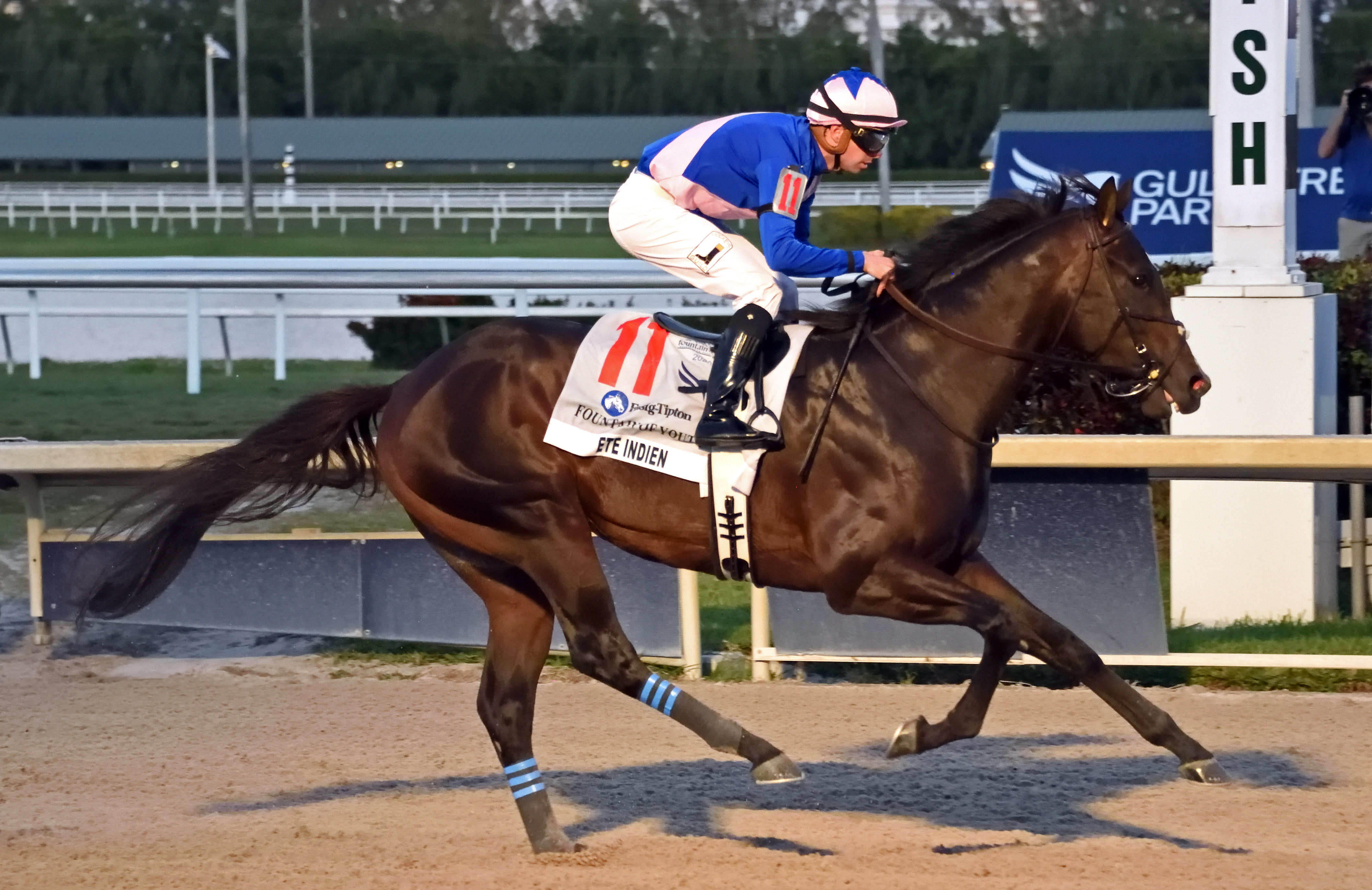 Ete Indien wins the 2020 Fountain of Youth