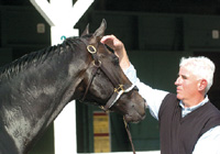 Eurosilver