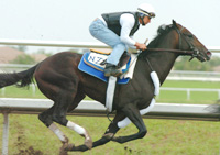 Eurosilver