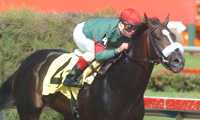 Eurosilver