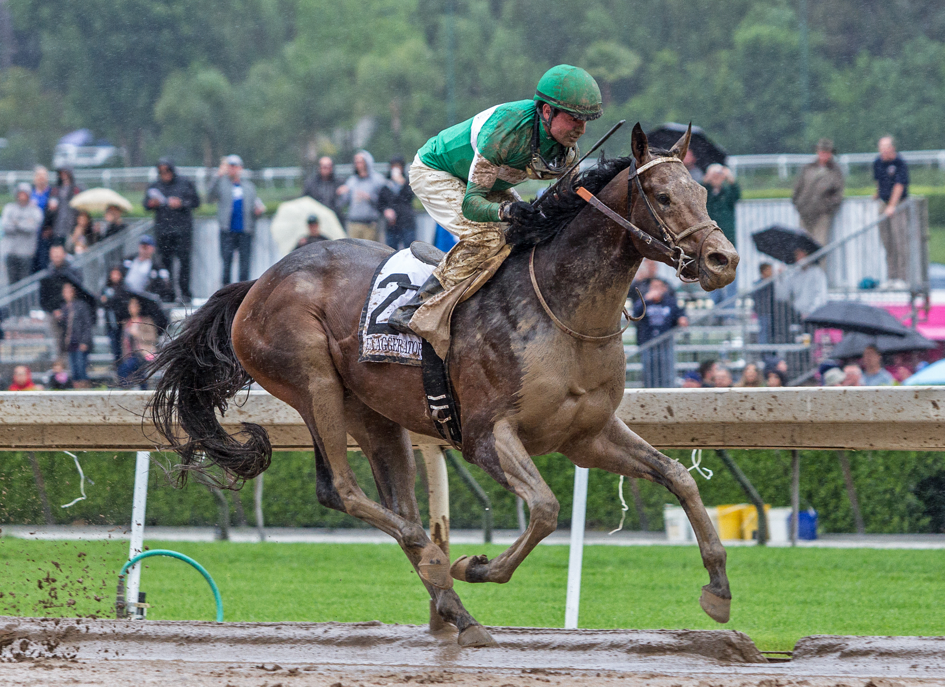 Exaggerator 4-09-16