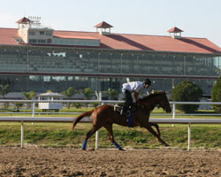 Fair Grounds