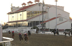 Fair Grounds