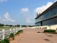 Fair Grounds