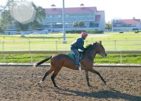 Fair Grounds