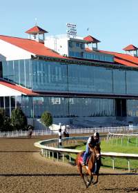 Fair Grounds