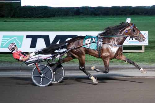 Fast As The Wind 7-23-21
