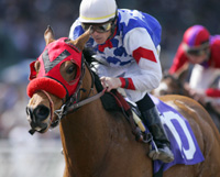 Fast Parade