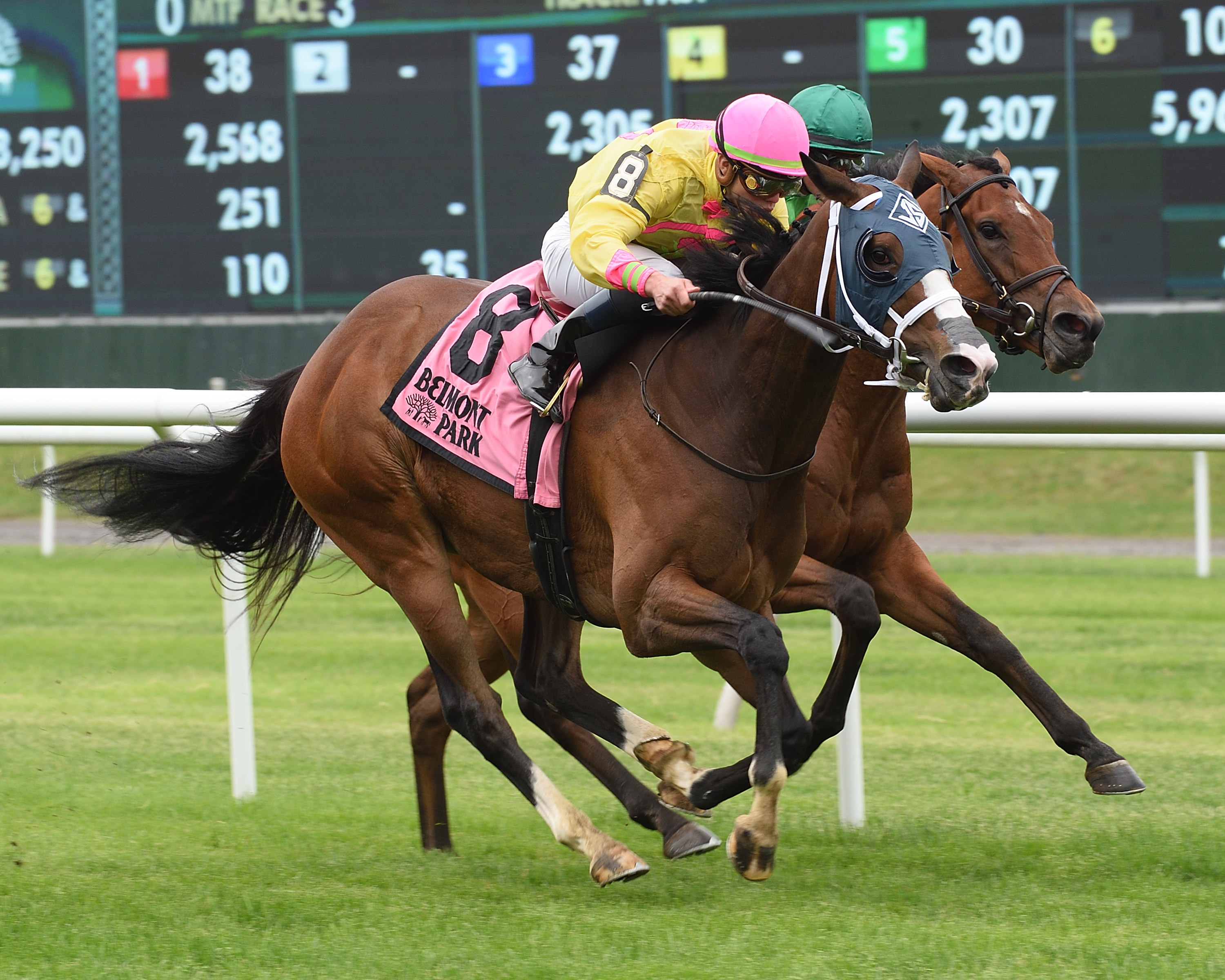 Feeling Bossy wins 2018 Mount Vernon
