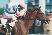 Ferdinand and Bill Shoemaker