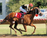 Ferocious Won