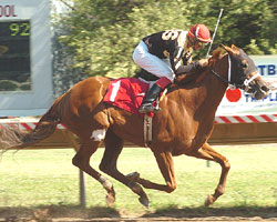ferociouswon_200x250_120606.jpg