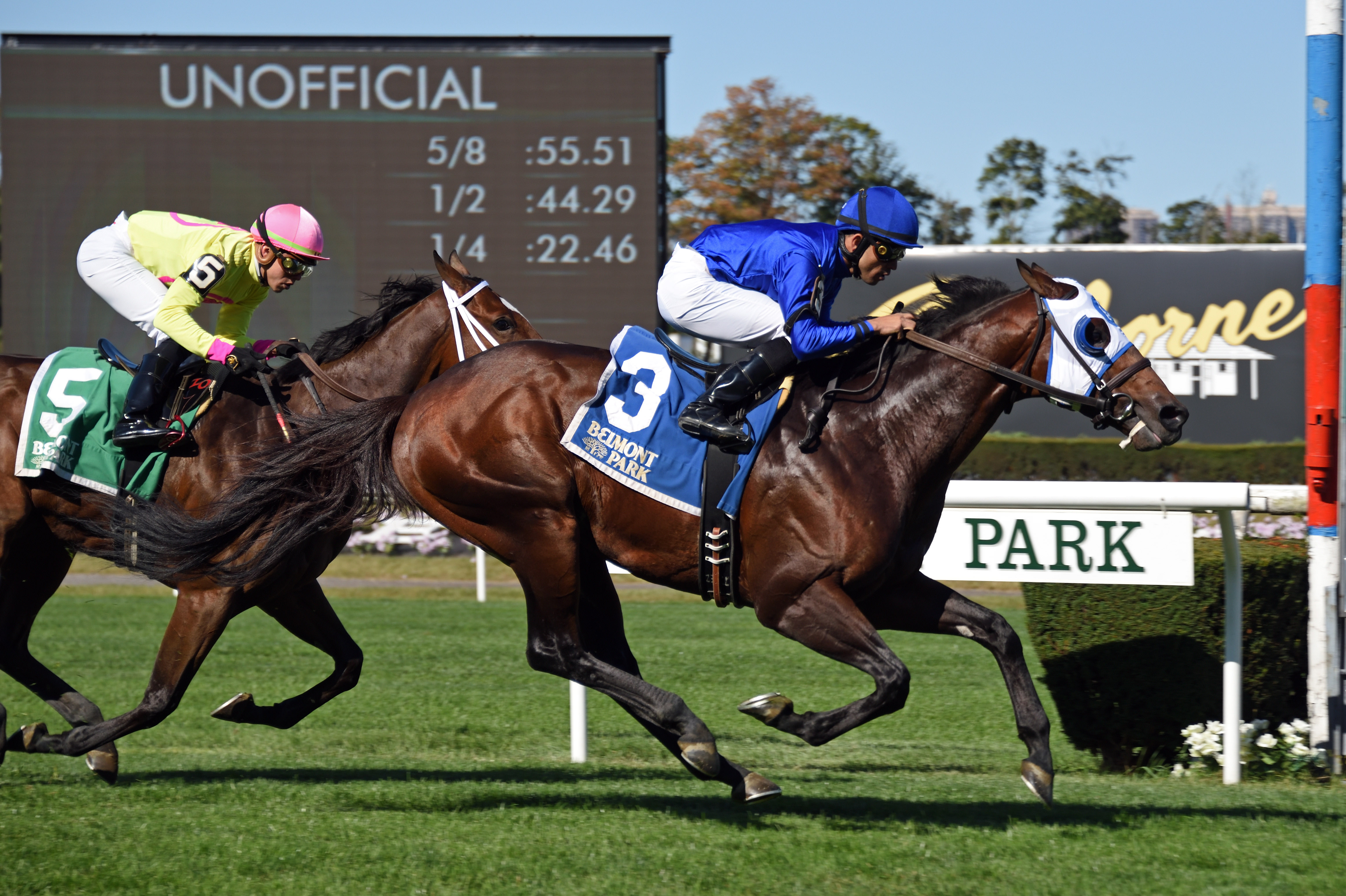 Final Frontier wins the 2019 Belmont Turf Sprint Invitational