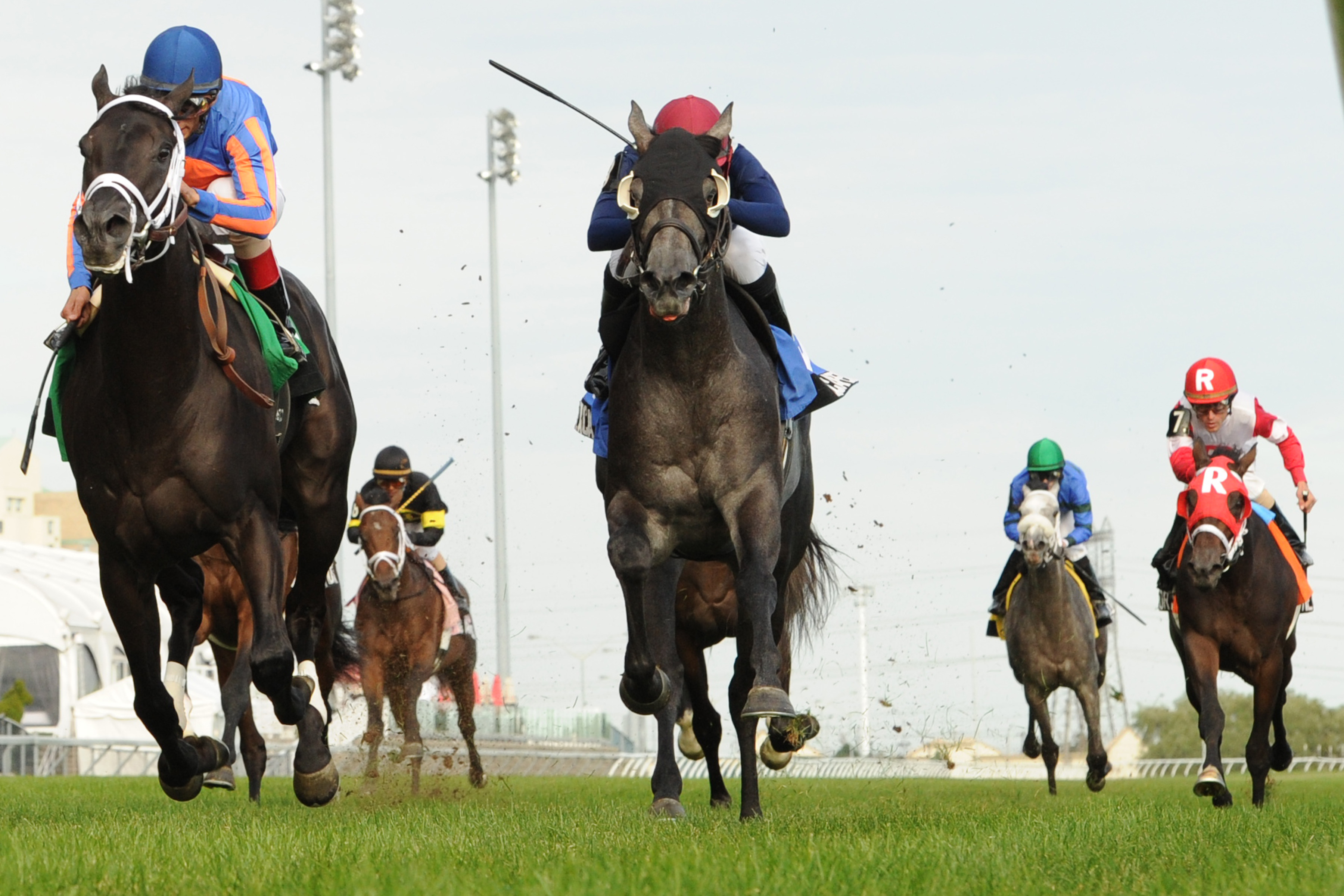 Finale/Summer Stakes