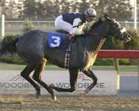 Financingavailable
