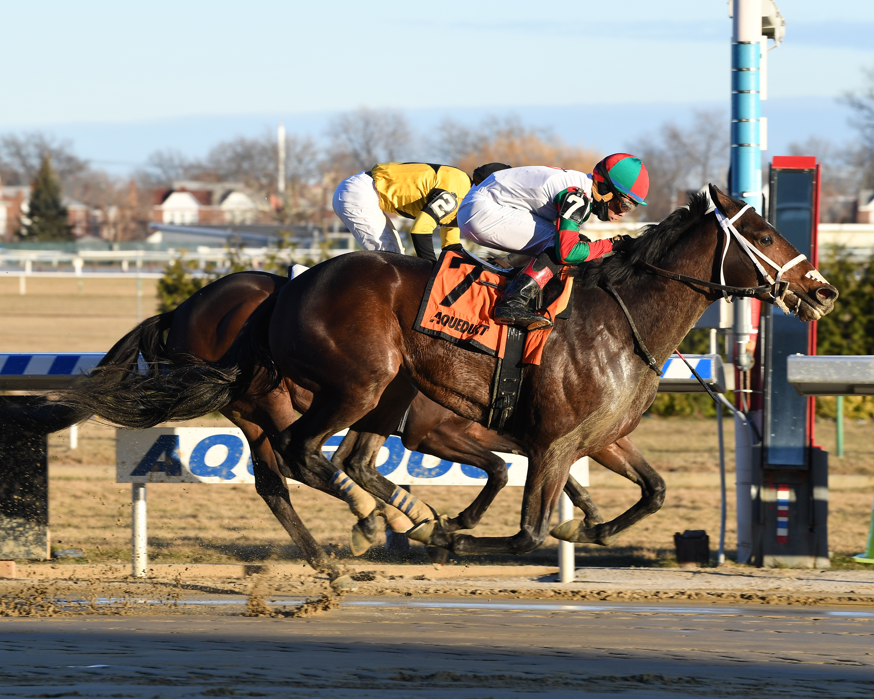 Firenze Fire wins the 2018 Jerome Stakes
