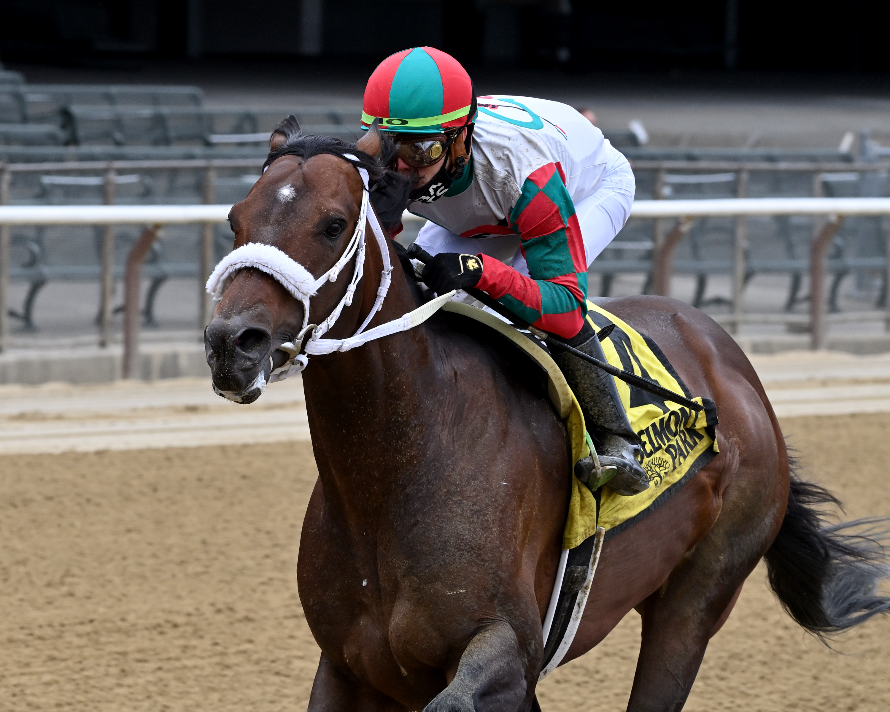 Firenze Fire wins Runhappy Stakes 5-8-2021
