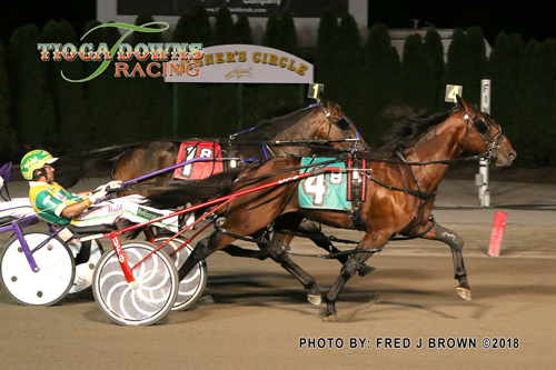 Flameproof Hanover 8/10/18