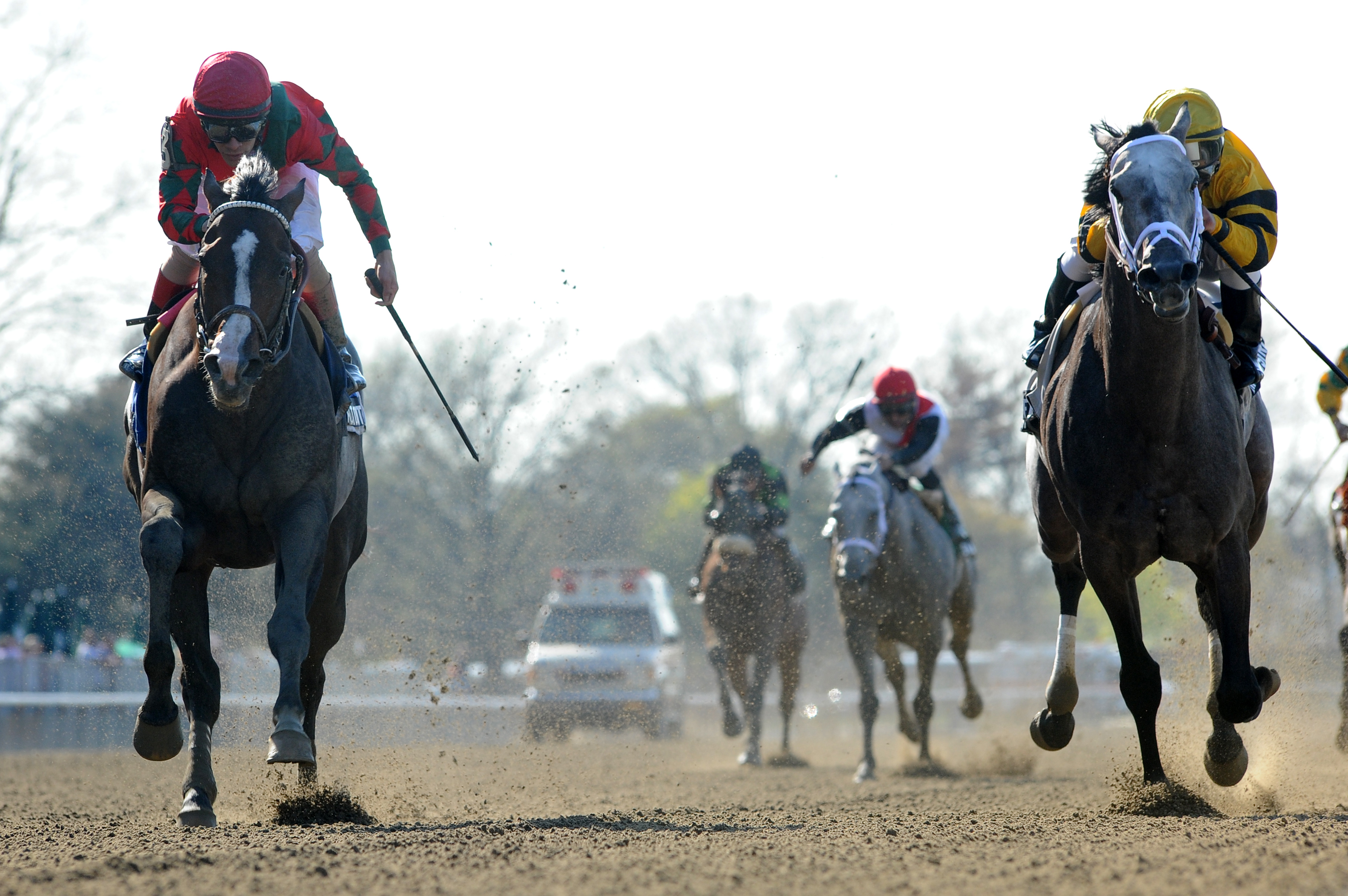 Flat Out/Westchester