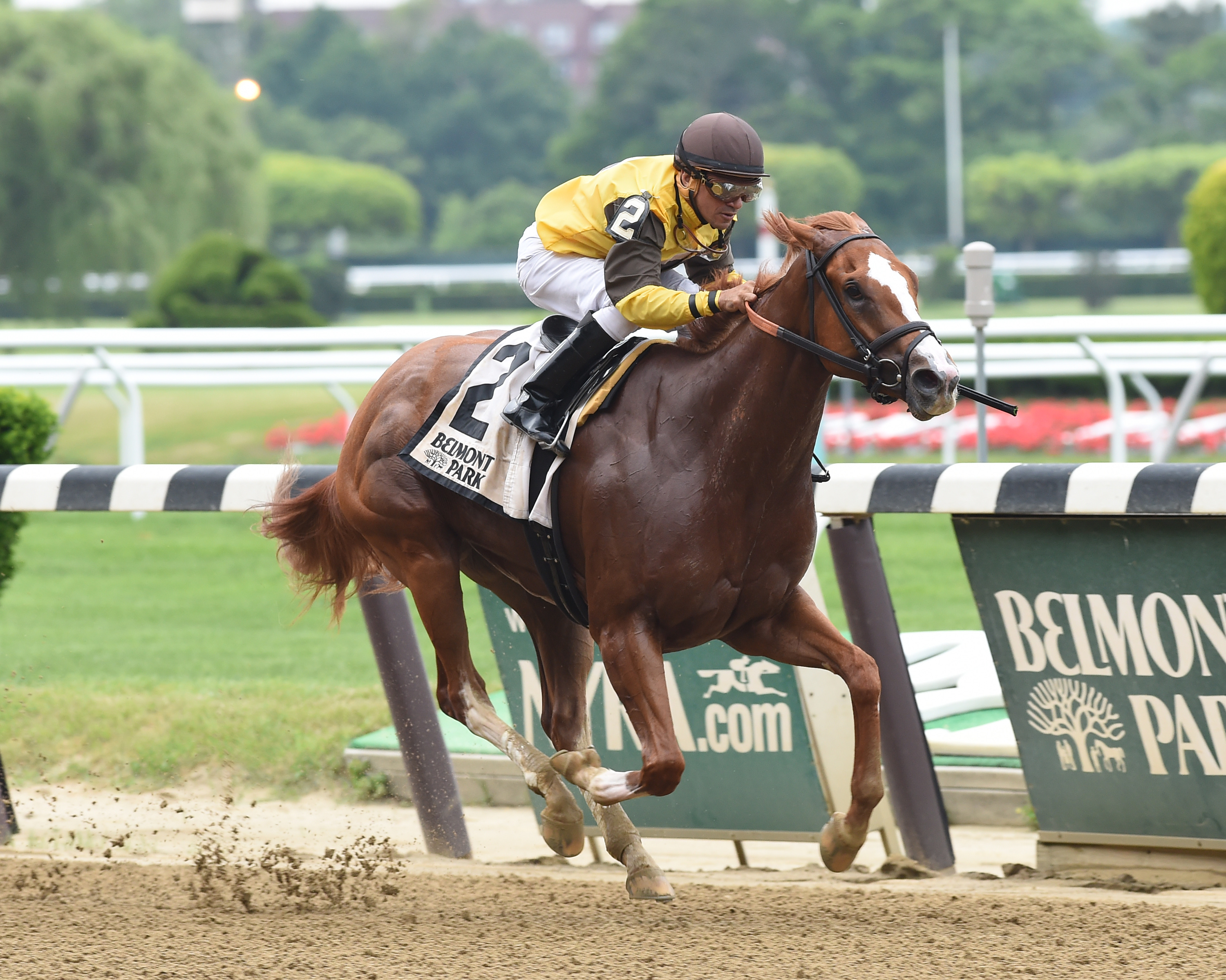 Flatterywillgetyou wins the Bouwerie Stakes