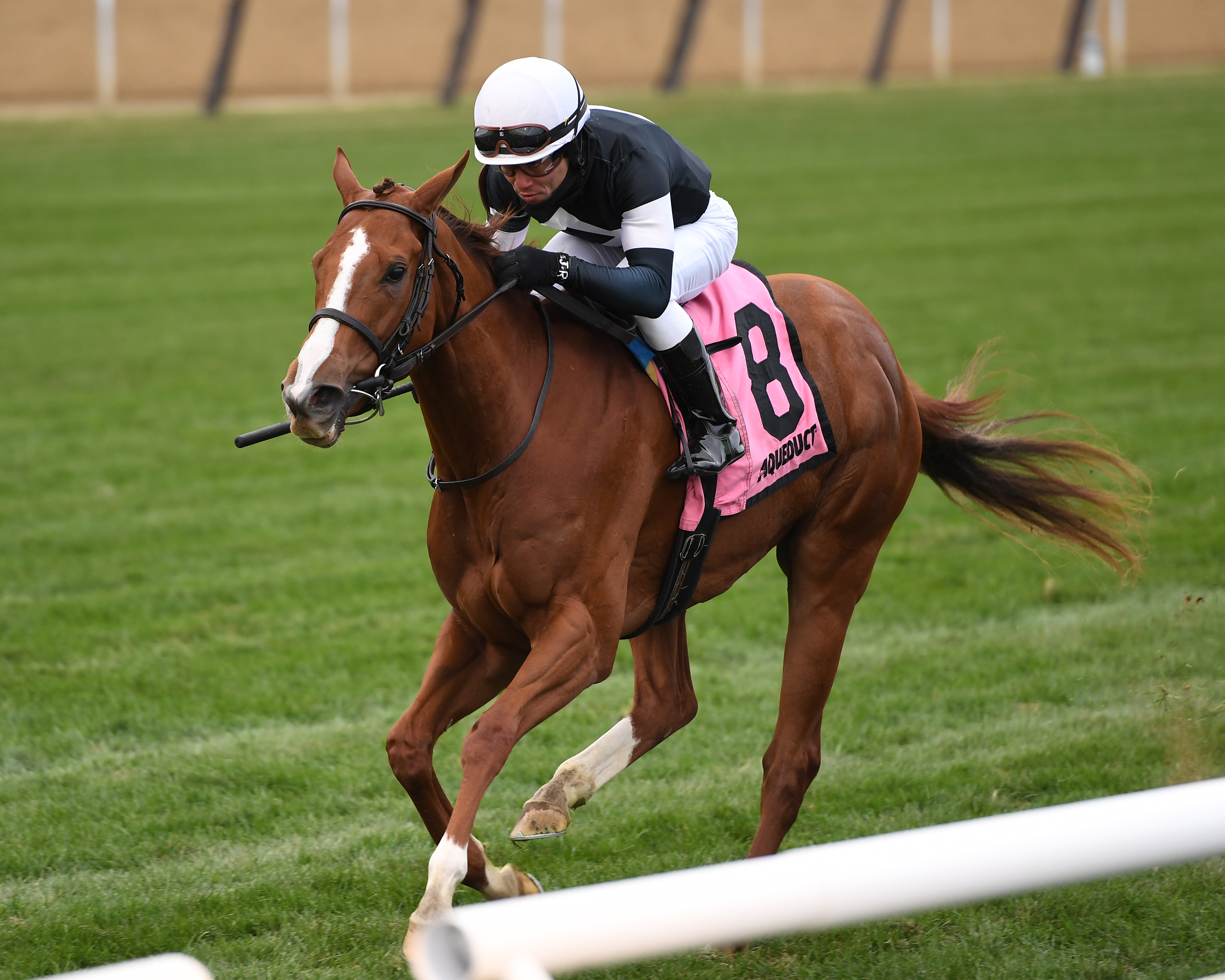 Fly So Pretty wins the 2019 Stewart Manor Stakes