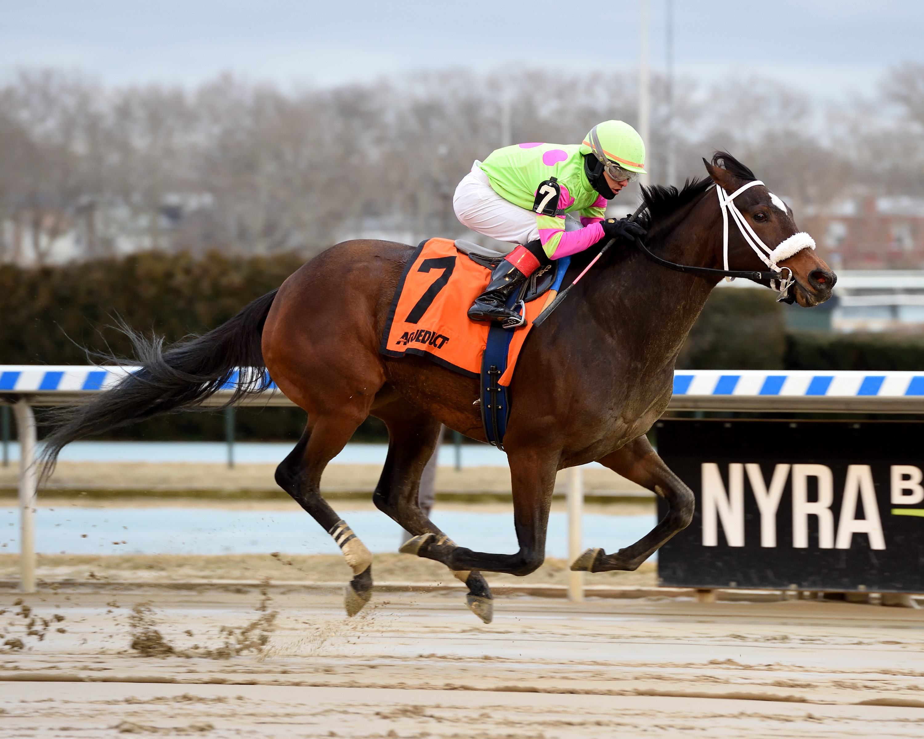 Forever Liesl wins 2019 Ladies Handicap