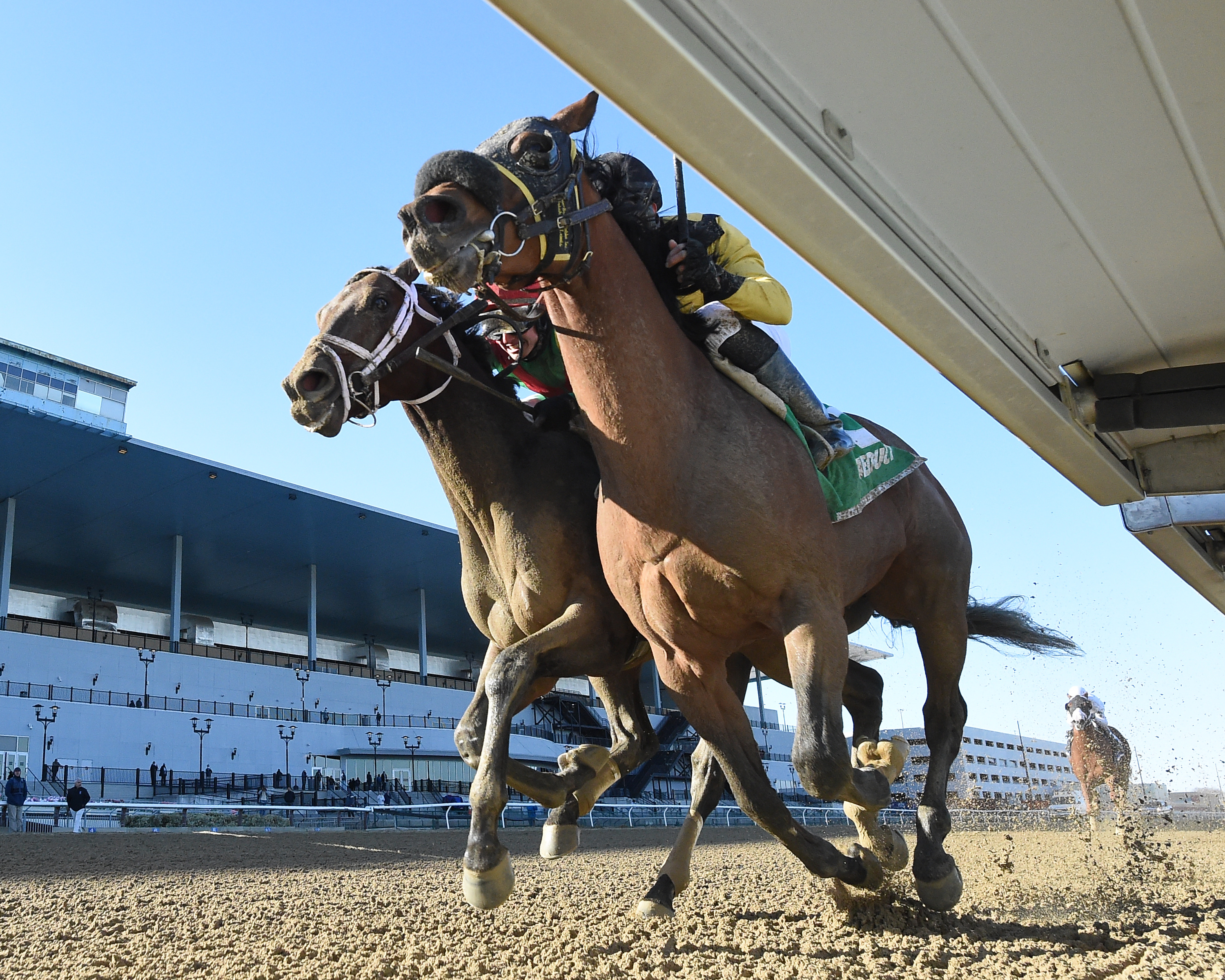 Forewarned (rail)/Excelsior