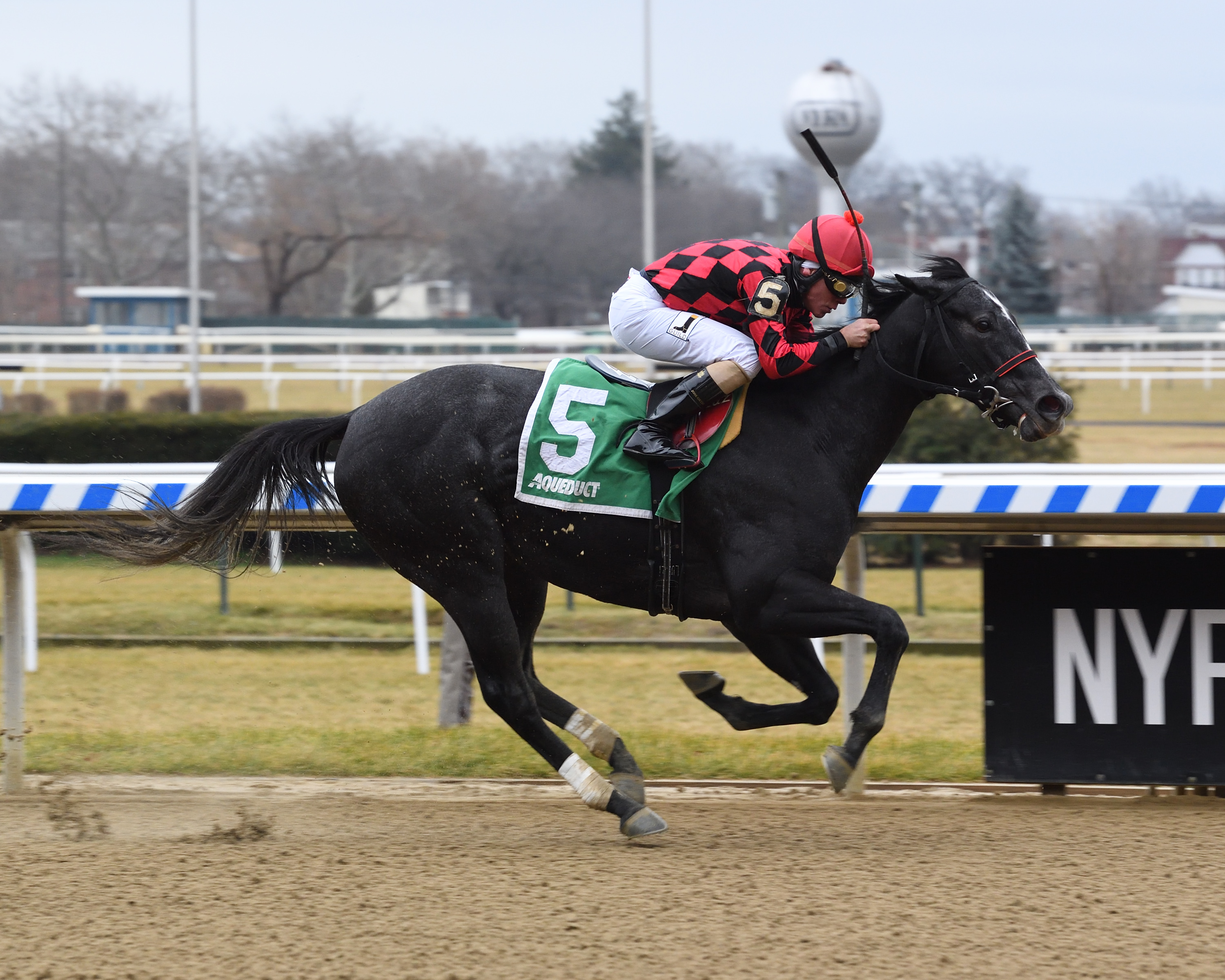 Forgotten Hero wins 2018 Fifth Avenue