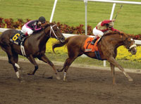 Corinthian and First Samurai