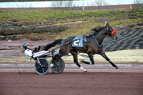 Frontier Rollo 2-12-22