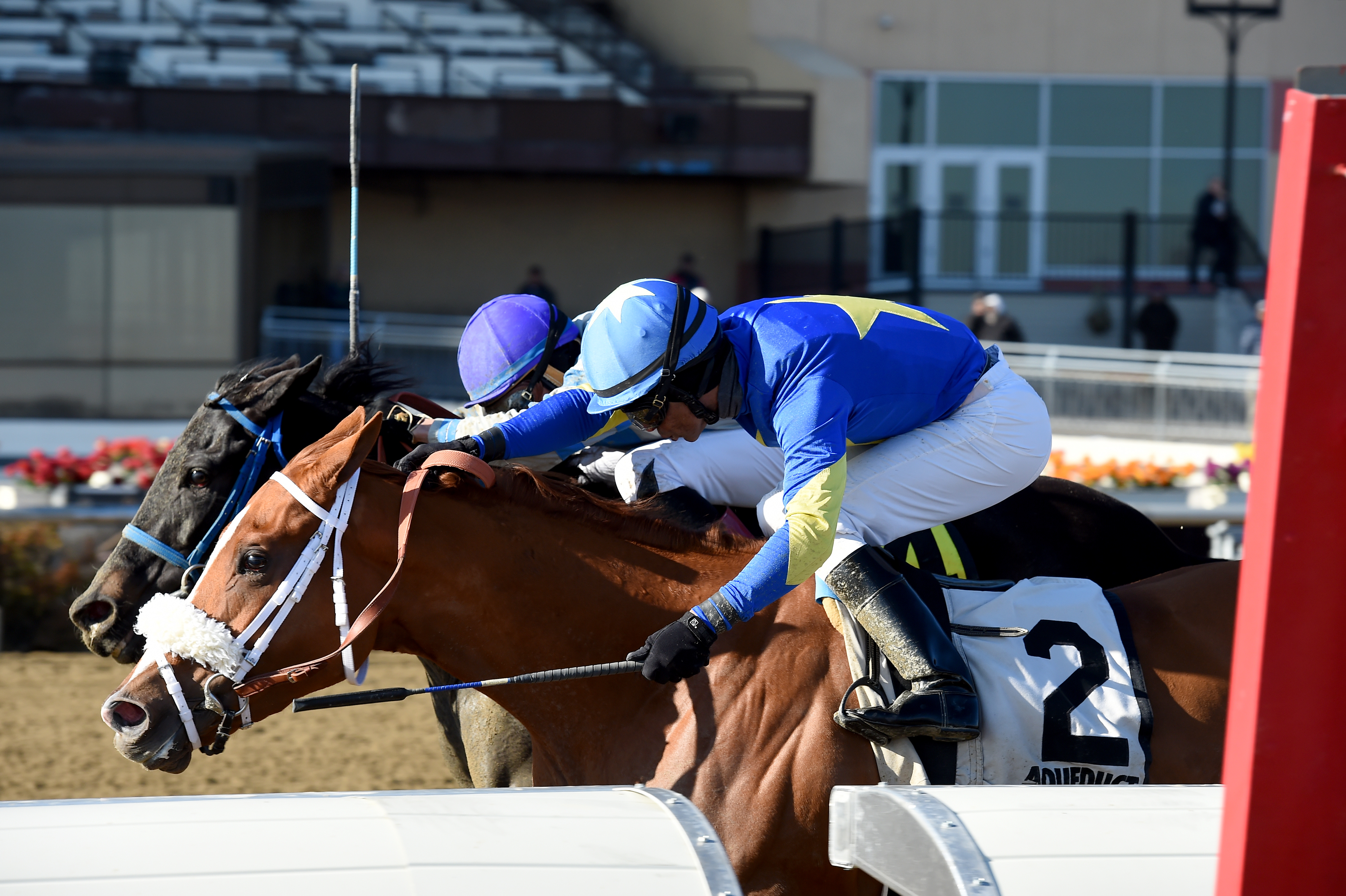 Frost Wise wins 2018 Bay Ridge