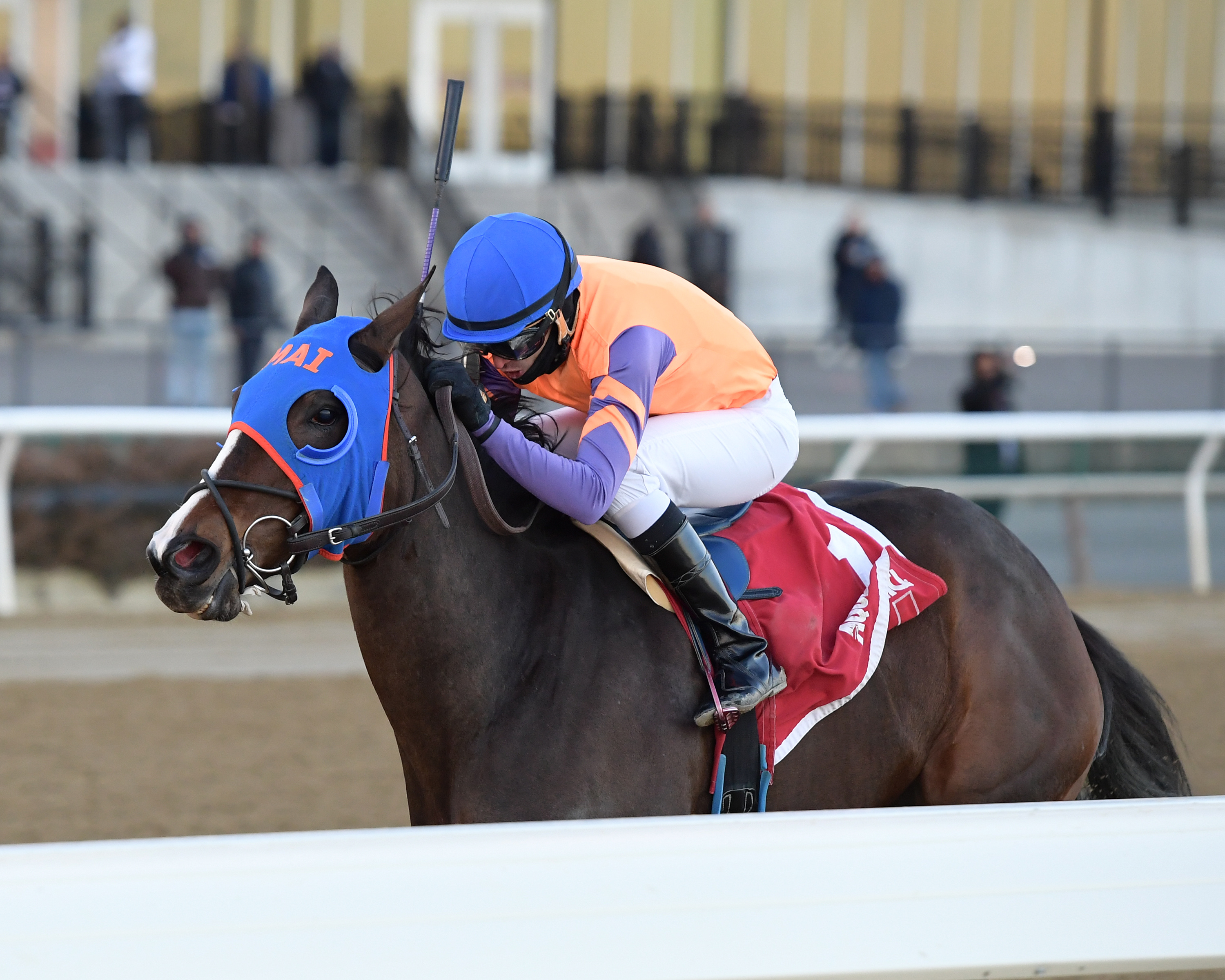 Frosty Anne wins 2019 Biogio's Rose