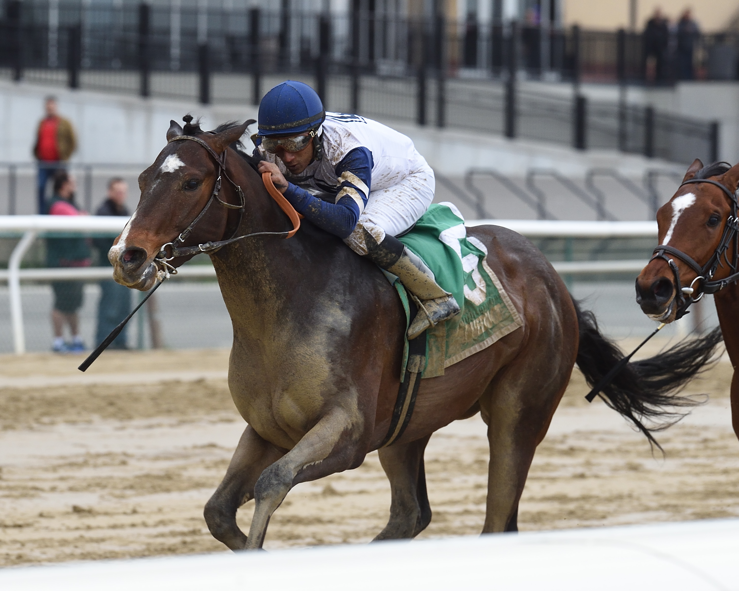 Funny Guy wins the 2019 NYSS Times Square division